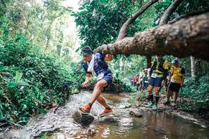 BIB: 
                            <button type="button" onclick="openModal(25373482)" class="btn btn-primary btn-sm float-right btn-popup" data-toggle="modal" data-target=".modal-high-quality">
                        <i class="fas fa-shopping-cart"></i> Add to Cart
                    </button>
                                            <button type="button" onclick="isThisMe(25373482, true)" class="btn btn-success btn-sm float-right btn-popup btn-isme hidden" data-toggle="tooltip" data-placement="bottom" title="นี่คือรูปของคุณใช่ไหม คลิกที่นี่เพื่อเอาเข้าอัลบั้ม">
                        <i class="fas fa-plus"></i> Add to album
                    </button>
                    <button type="button" onclick="isThisMe(25373482, false)" class="btn btn-warning btn-sm float-right btn-popup btn-isnotme hidden">
                        <i class="fas fa-ban"></i> Remove from album
                    </button>